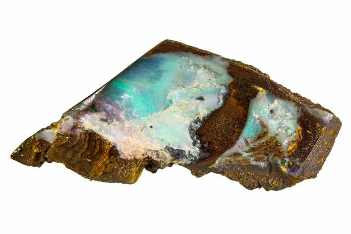 Colorful Polished Boulder Opal Specimen - Queensland, Australia #351912